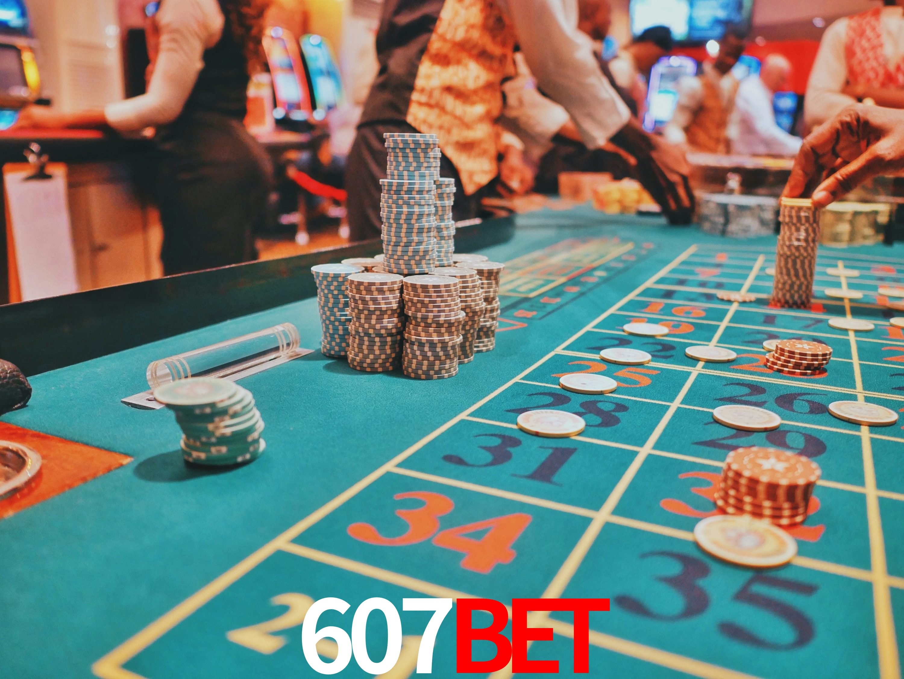 Sports Statistics 607bet